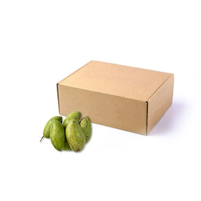 Fresh Nam Dok Mai mango unripe, firm green mangoes, 3kg bulk pack isolated on white background