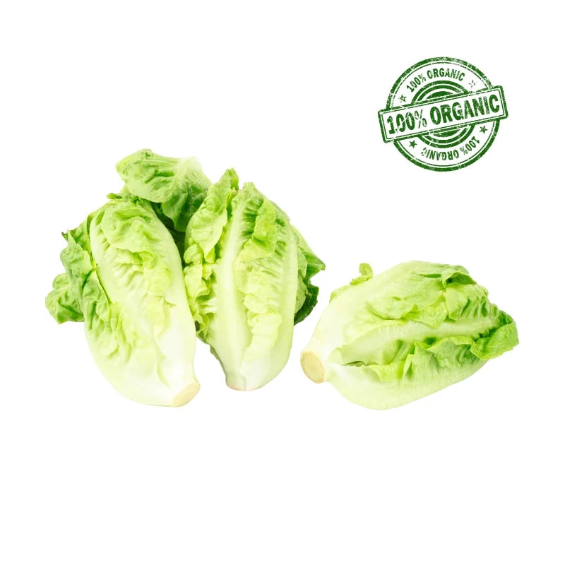 Organic Baby Cos Lettuce 500 g