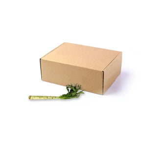 Fresh osun leaves, aromatic leafy greens, 5kg bulk pack isolated on white background