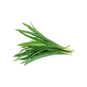 Fresh pandan leaves, fragrant green leaves, 250g pack isolated on white background