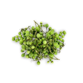 Fresh pea eggplant, whole clusters of green eggplants sold per kg isolated on white background