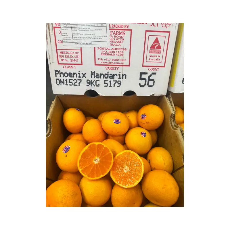 Phoenix Citrus Orange Australian Size 36 9kg/Box