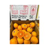 Phoenix Citrus Orange Australian Size 36 9kg/Box
