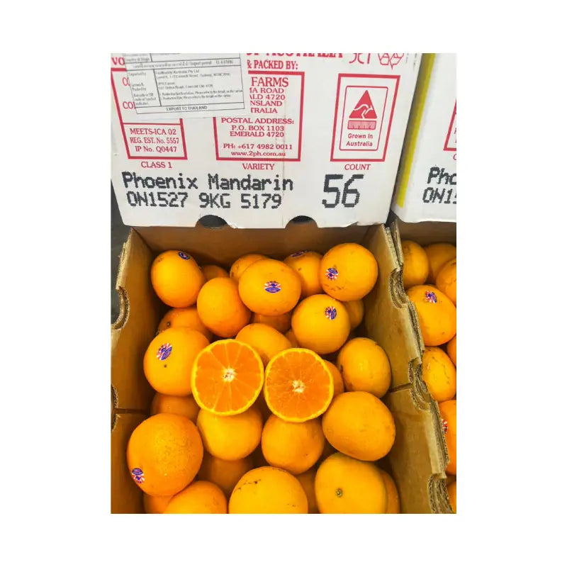 Phoenix Citrus Orange Australia Size 56 9kg/Box