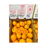 Phoenix Citrus Orange Australia Size 56 9kg/Box