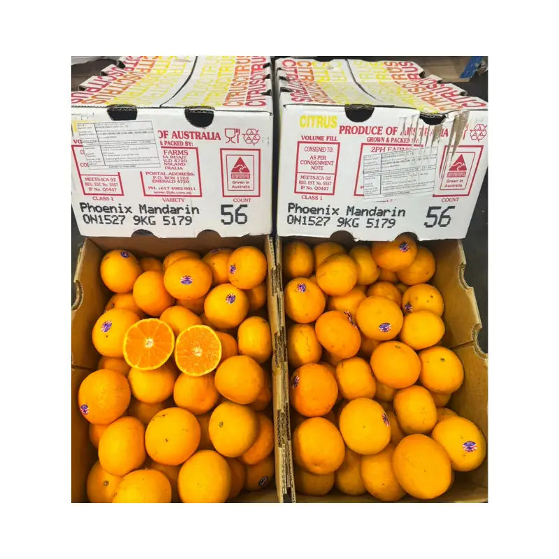 Phoenix Citrus Orange Australian Size 36 9kg/Box
