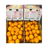 Phoenix Citrus Orange Australian Size 36 9kg/Box