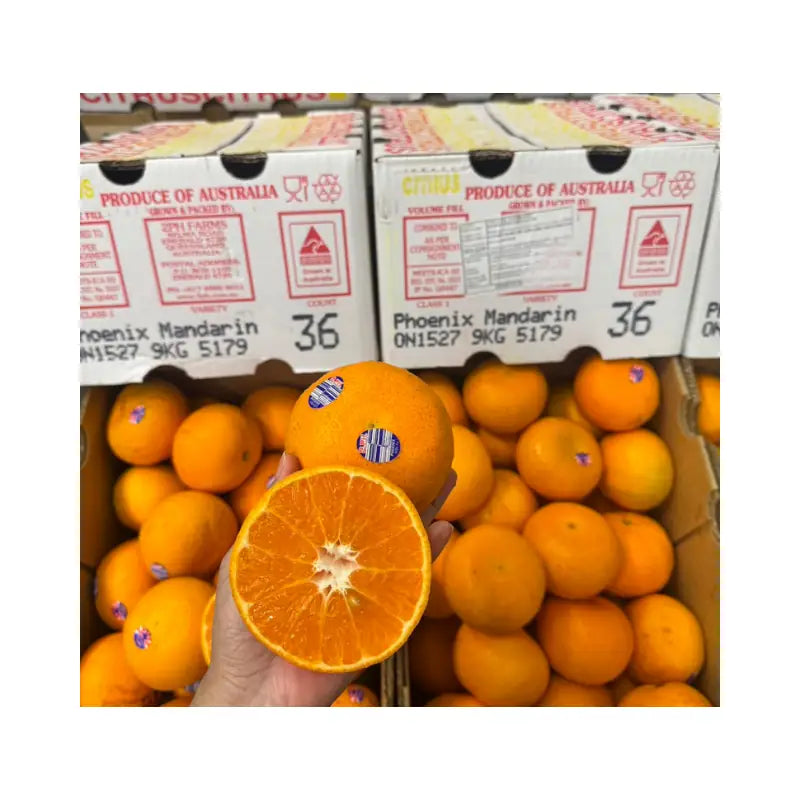 Phoenix Citrus Orange Australian Size 36 9kg/Box