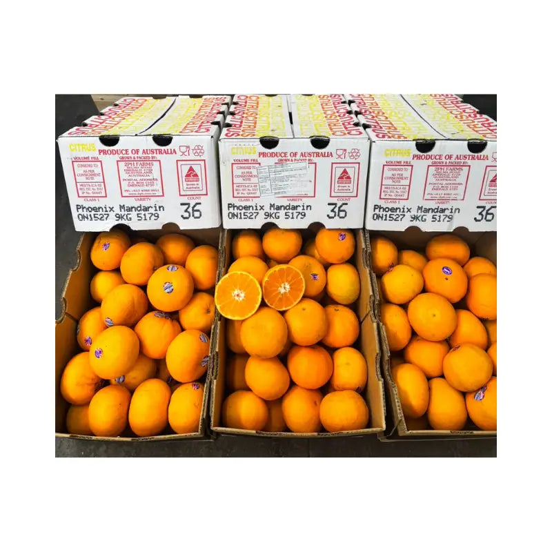 ส้ม Phoenix Citrus ออสเตรเลีย เบอร์ 42
