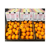 ส้ม Phoenix Citrus ออสเตรเลีย เบอร์ 42