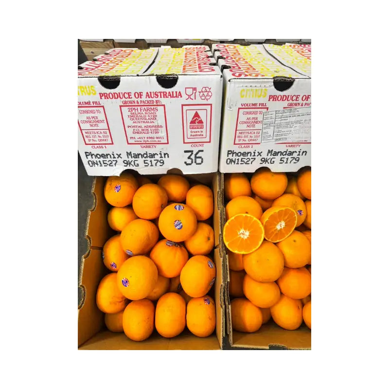 Phoenix Citrus Orange Australian Size 36 9kg/Box