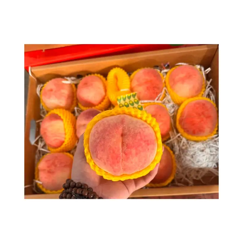 Pink Peach Pink Fish Box 13 Pieces