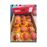 Pink Peach Pink Fish Box 13 Pieces