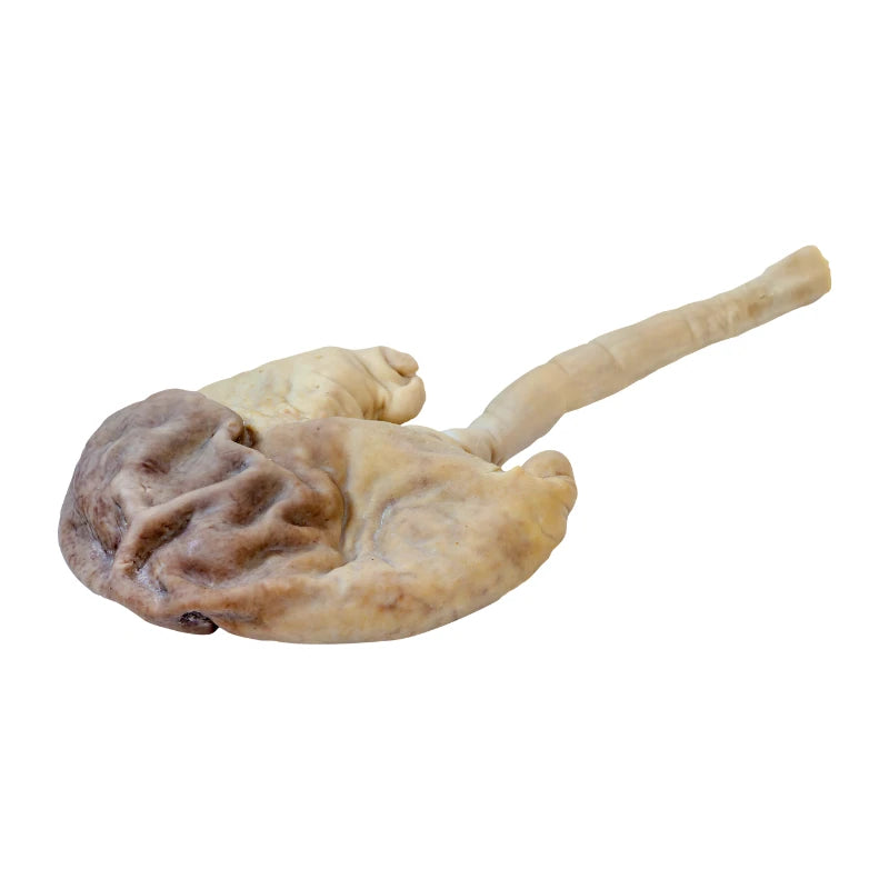 Pork Stomach Per kg