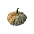 Pumpkin 2 - 2.5kg - Bangkok FreshLink