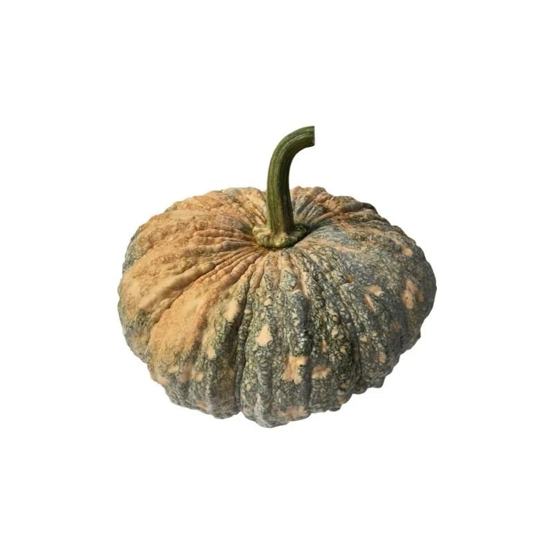 Pumpkin 2 - 2.5kg - Bangkok FreshLink