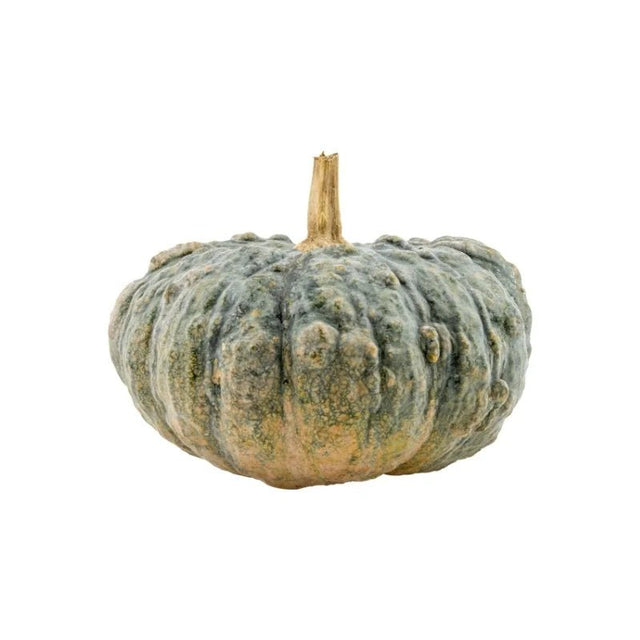 Pumpkin 3.5 - 4kg - Bangkok FreshLink