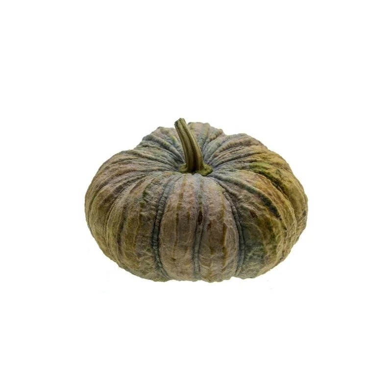Pumpkin 3 - 3.5kg - Bangkok FreshLink