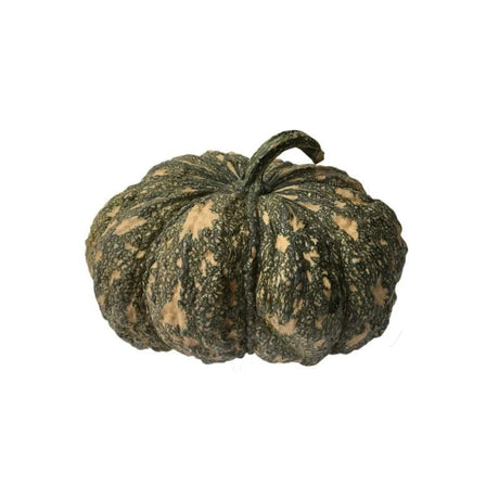 Pumpkin 4 - 5kg - Bangkok FreshLink