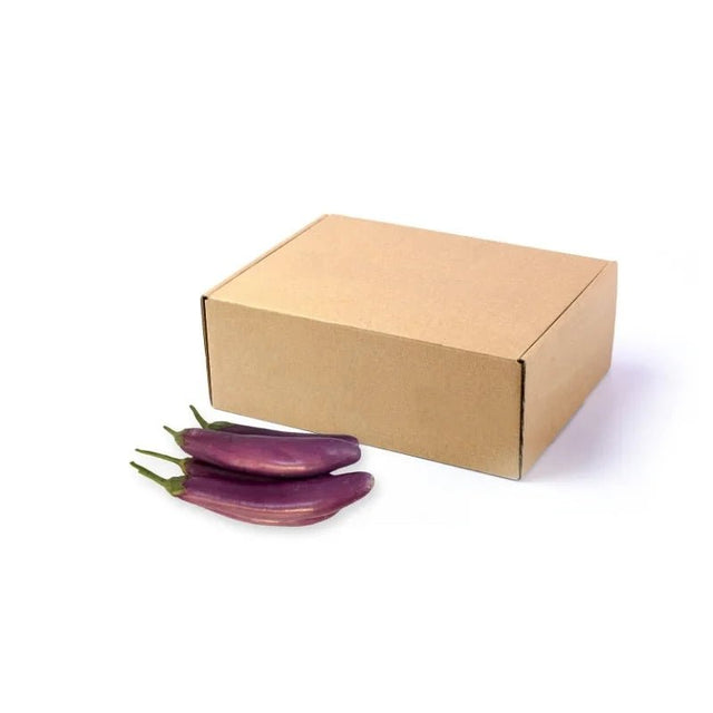 Fresh purple eggplant, glossy purple aubergines, 5kg bulk pack isolated on white background