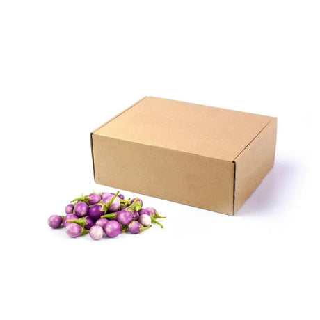 Purple Turtle Egg Eggplant 3kg - Bangkok FreshLink