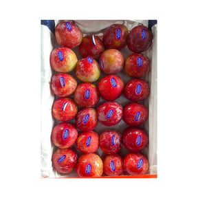 Fresh red plums, whole ripe stone fruit packed per box isolated on white background