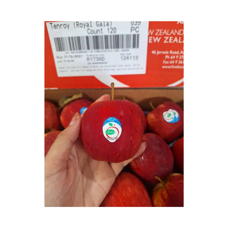 Red Gala Apple New Zealand Freshco Brand Size 120