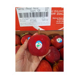 Red Gala Apple New Zealand Freshco Brand Size 120