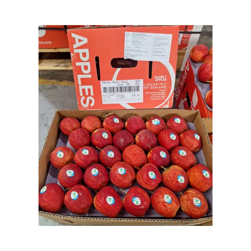 Red Gala Apple New Zealand Freshco Brand Size 120