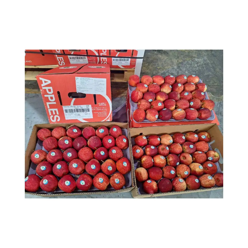 Red Gala Apple New Zealand Freshco Brand Size 120