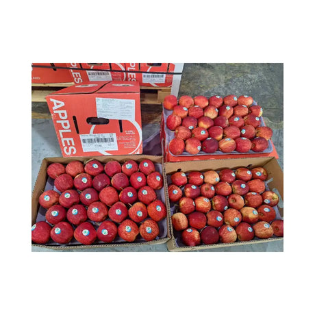 Red Gala Apple New Zealand Freshco Brand Size 120