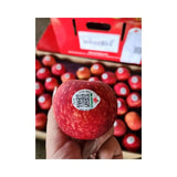Red Gala Apple New Zealand Mr. Apple Brand Size 120