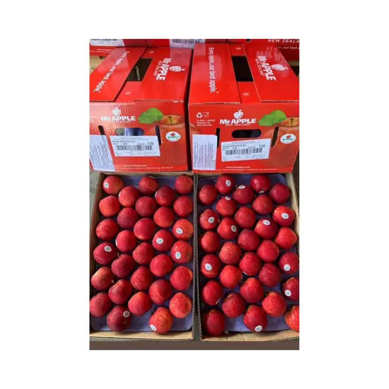 Red Gala Apple New Zealand Mr. Apple Brand Size 135