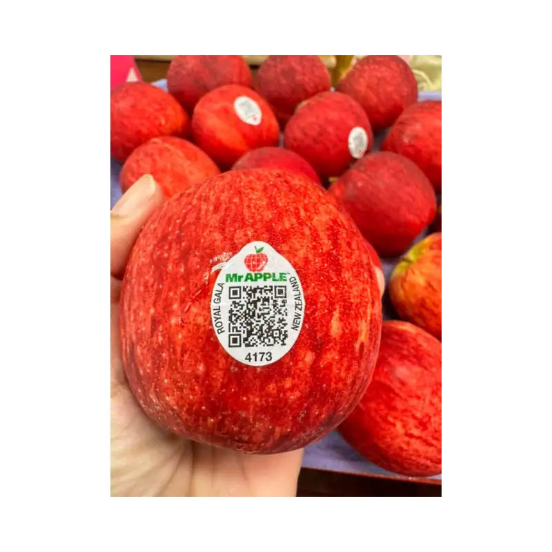 Red Gala Apple New Zealand Mr. Apple Brand Size 135