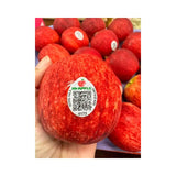 Red Gala Apple New Zealand Mr. Apple Brand Size 135