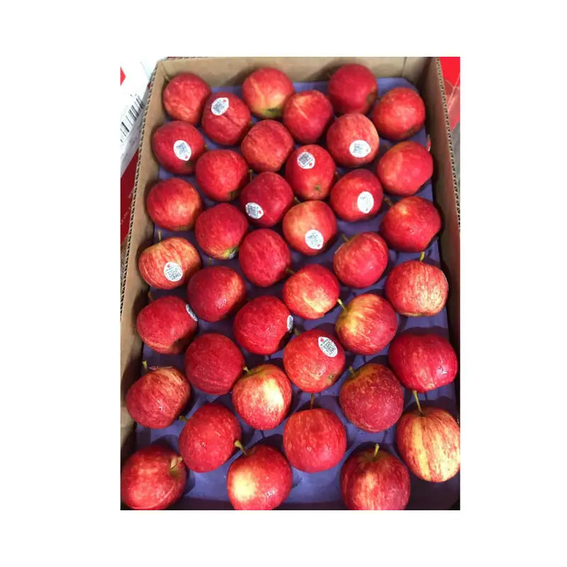Red Gala Apple New Zealand Mr. Apple Brand Size 135