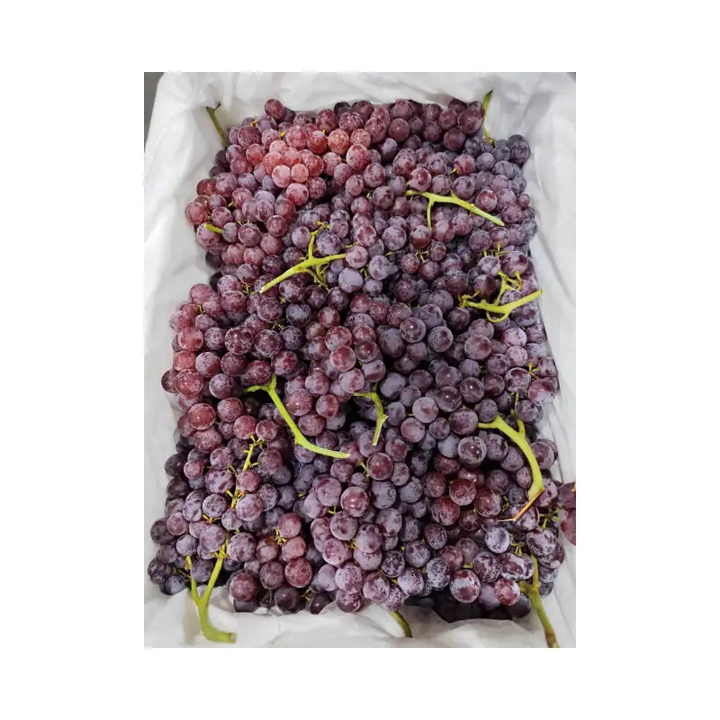 Red Globe Grapes No Label (Total Weight Including Basket 4.8kg)