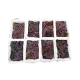 Red Globe Grapes No Label (Total Weight Including Basket 4.8kg)