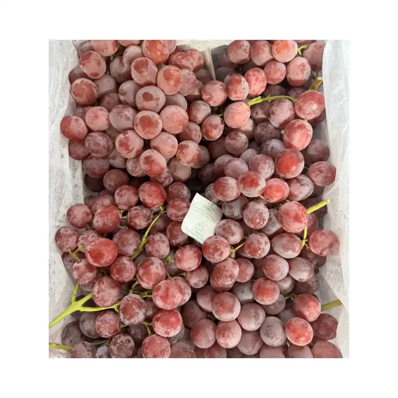 Red Grapes with Seeds XM Brand Blue Label (7kg Basket)