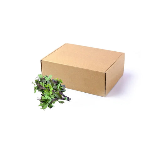 Bulk 5kg pack of fresh Red Holy Basil on white background — wholesale Thai red basil leaves for restaurants and catering.