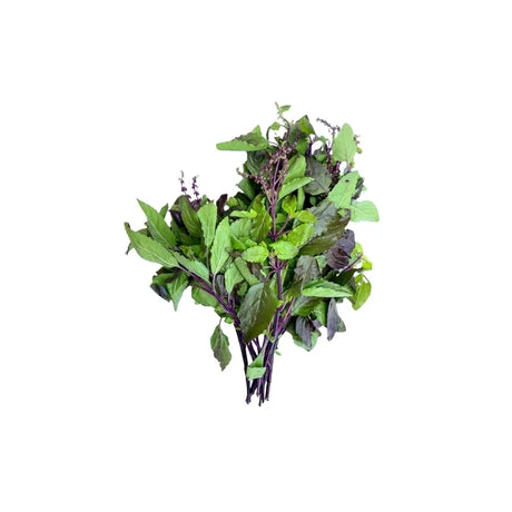 Fresh Red Holy Basil sold per kilogram on white background — wholesale Thai red basil leaves for kitchens and markets.