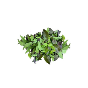 Fresh trimmed red holy basil leaves, ready-to-use purple basil, 250g pack isolated on white background