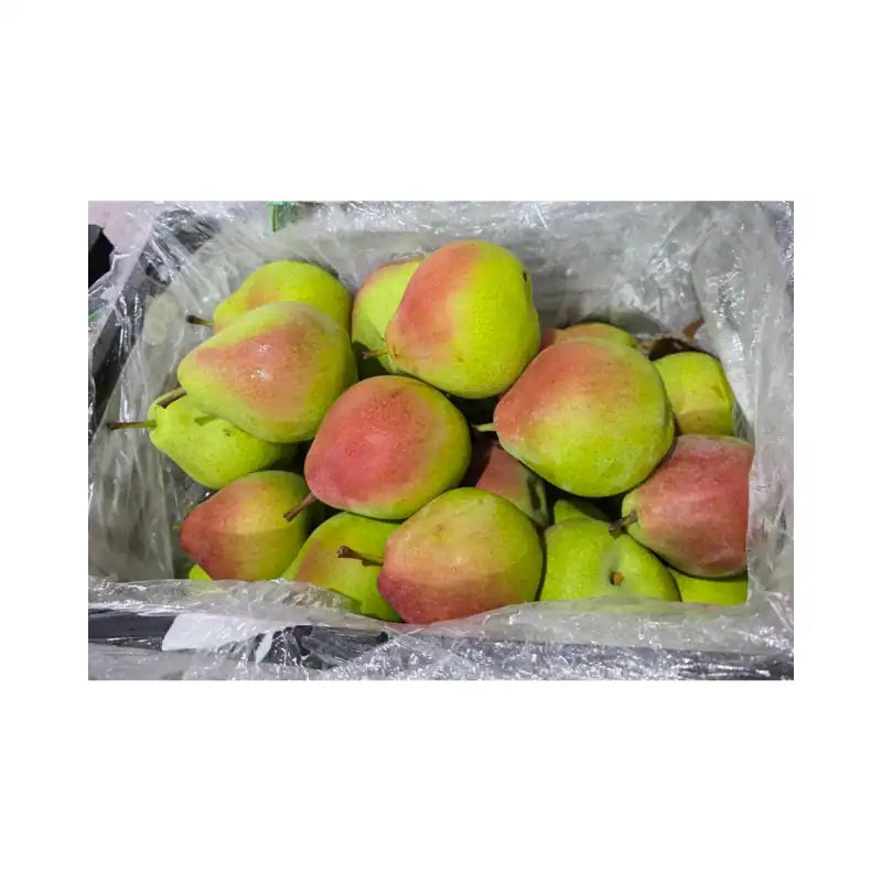 Red Plum