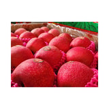 แอปเปิ้ลฉินก้วนแดง ตรา 888 เบอร์ 36