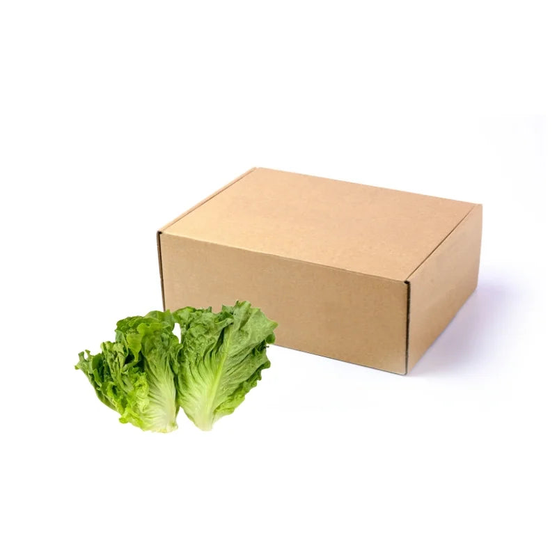 Romaine Lettuce 5kg