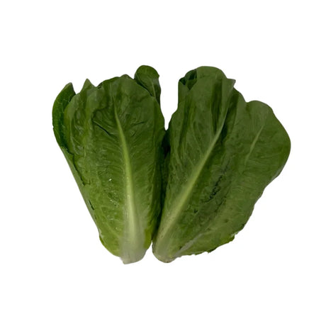 Romaine Lettuce Per kg