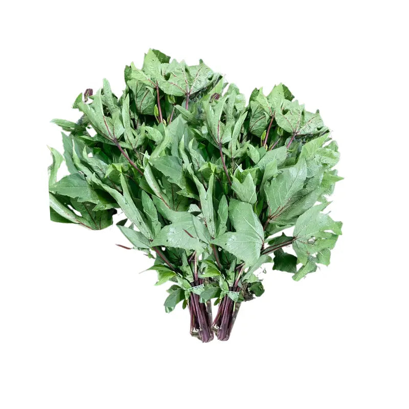 Roselle Leaves