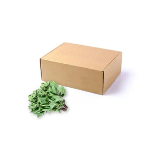 Fresh roselle leaves, tart leafy greens, 5kg bulk pack isolated on white background