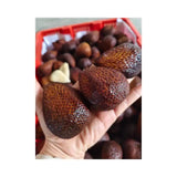 Salak Indonesia