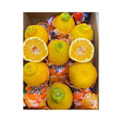 Satsuma Orange Per Box - Bangkok FreshLink